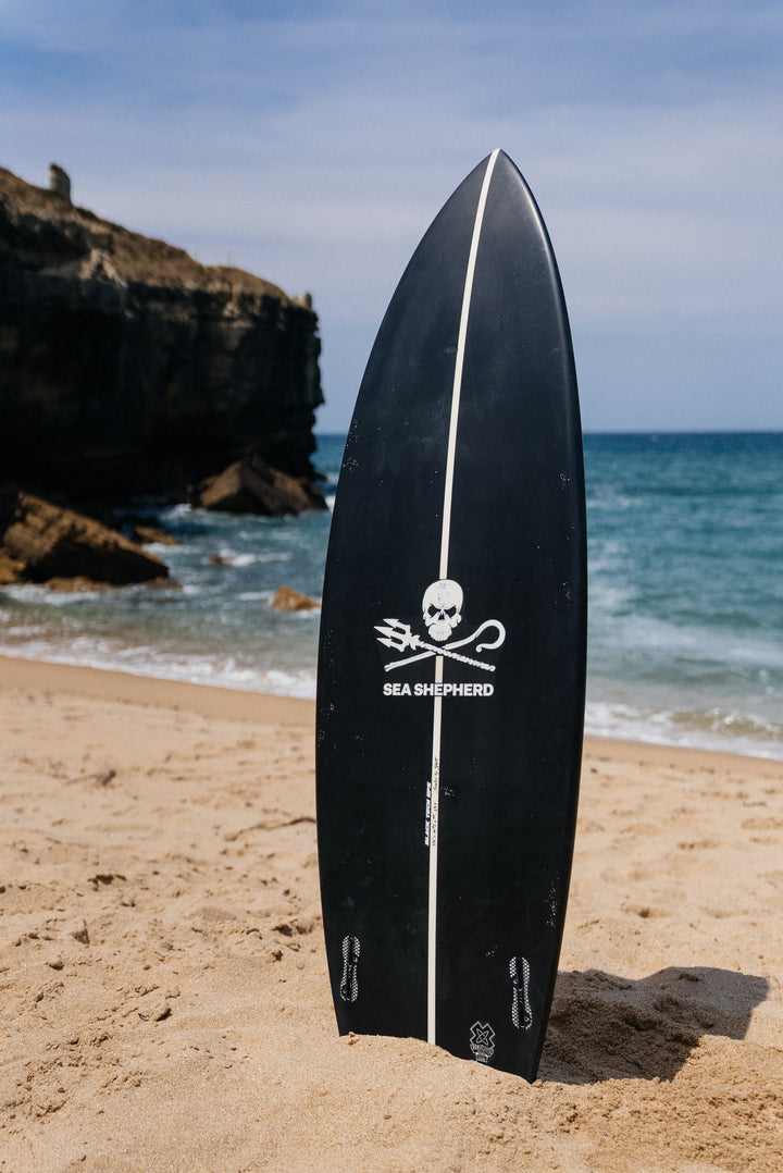 NOMADS x SEA SHEPHERD