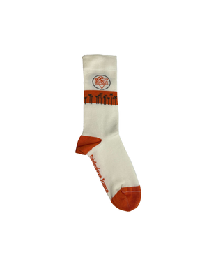 Vans &amp; Waves City Socks